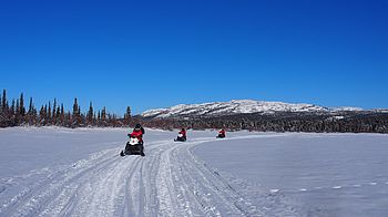 Gruppe von Snowmobilen unterwegs im verschneiten Yukon
