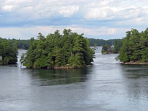 Inselgruppe im Gebiet der Thousand Islands