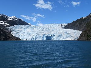 Aialik-Gletscher im Kenai Fjords Nationalpark