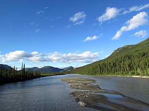 Wunderschöne Landschaft Alaskas mit breitem Fluss durch grüne Wälder