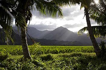 Sonnenstrahlen auf die Landschaft Hawaiis