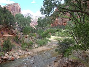 Wanderung am Virgin River im Zion Nationalpark