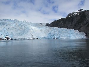 Weiße Gletschermassen im Kenai Fjords Nationalpark