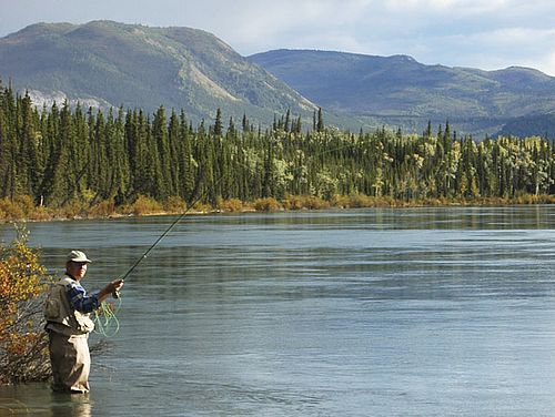 Fischer im Yukon