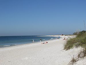 weißer Sandstrand bei Sarasota in Florida