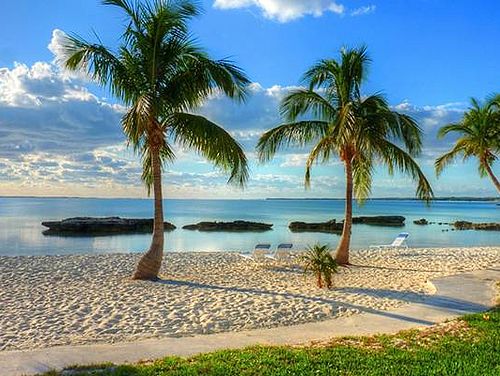 Kreuzfahrt Bahamas Strand Karibik
