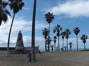 Palmen an einem Strand in Los Angeles