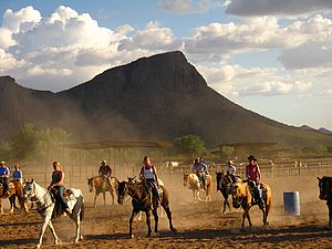 Aufbruch zur Reittour ©White Stallion Ranch