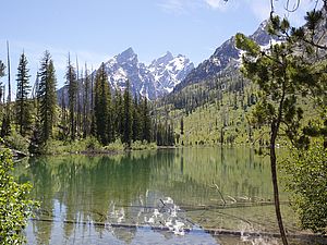 Landschaft im Grand Teton Nationalpark