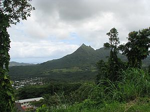 Blick auf den Mount Olomana auf der hawaiianischen Insel O'ahu